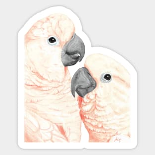 Moluccan cockatoos watercolor - parrot portrait painting Sticker